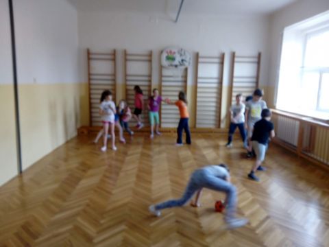 galleries/skolni-rok-2018-2019/skolni-druzina-2/sportujeme-micove-hry/IMG_20190207_134419